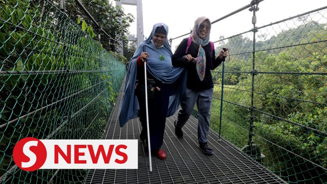 Showing what the visually-impaired can do