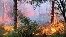 Sultangazi Kent Ormanı’ndaki yangında kundaklama iddiası!