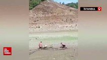 Sazlıdere Barajı'nda bataklığa saplanan köpeği vatandaşlar kurtardı
