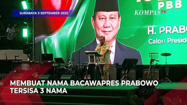 Respons Gerindra soal PBB Usul Yusril jadi Cawapres Prabowo Subianto Usai Cak Imin Bersama Anies