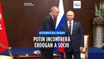 Attesa per l'incontro tra Putin ed Erdogan a Sochi: al centro il rinnovo dell'accordo sul grano