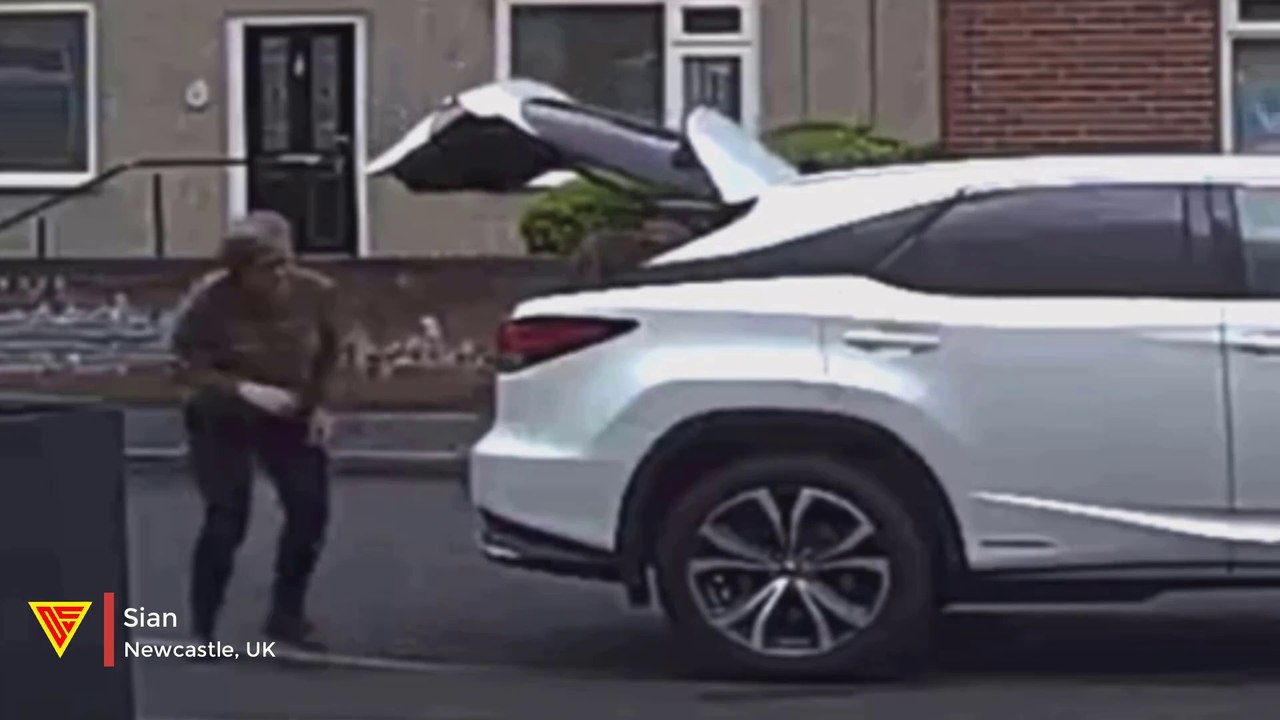 Golden Retriever Jumps Out of the Car Caught on Ring Camera | Doorbell Camera Video