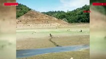 Sazlıdere Barajı'nda bataklığa saplanan köpek böyle kurtarıldı