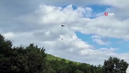 Kütahya'da orman yangını