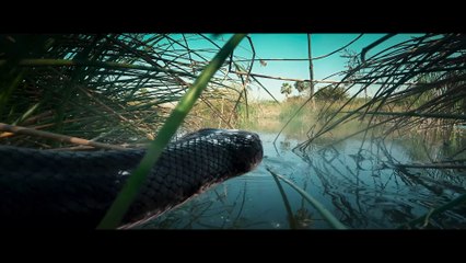 Chandramukhi2 (Hindi) Official Trailer | Raghava Lawrence | Kangana Ranaut | P. Vasu