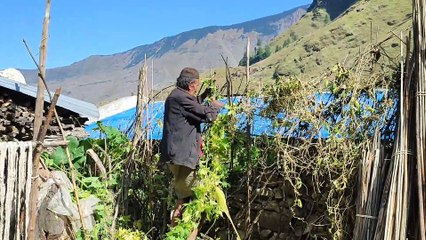 Village Life of Nepal
