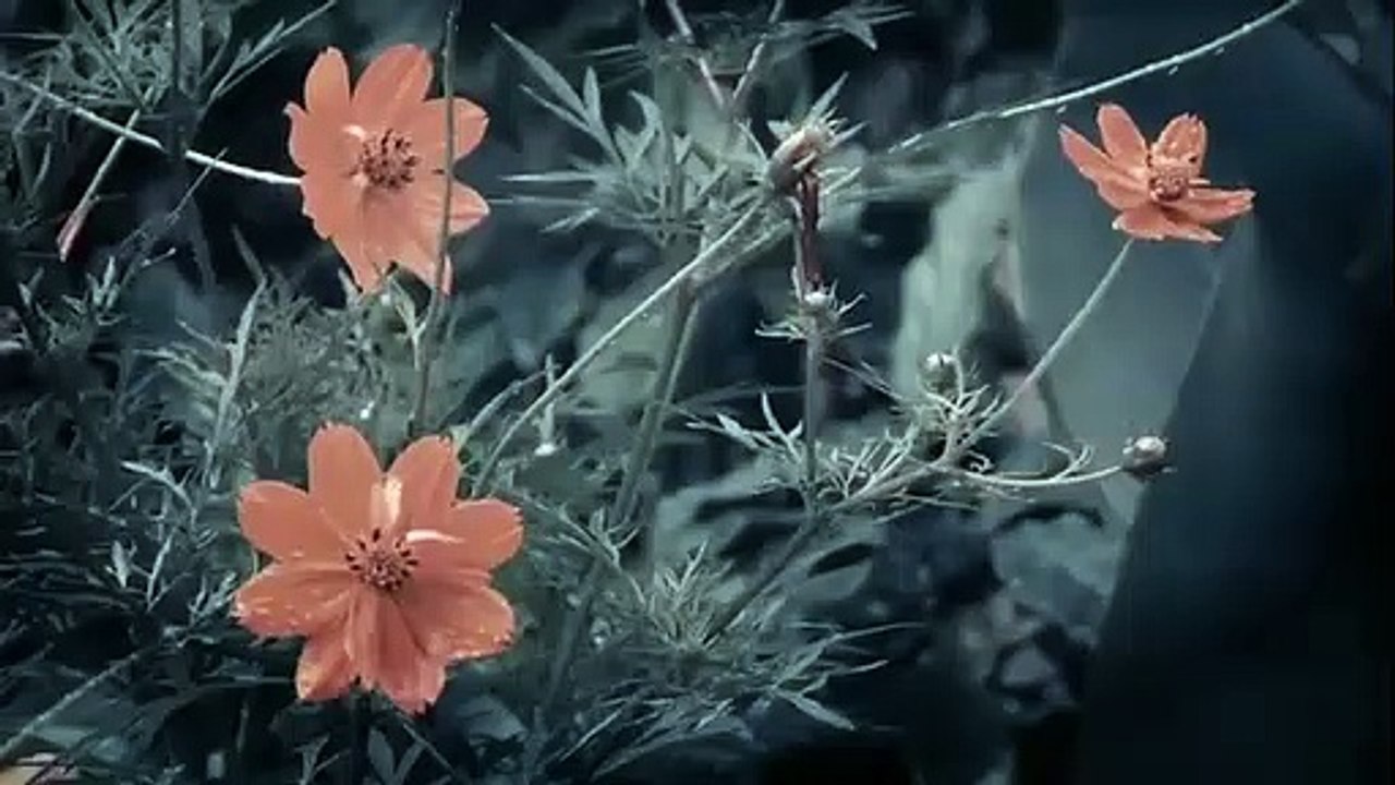 Tempo