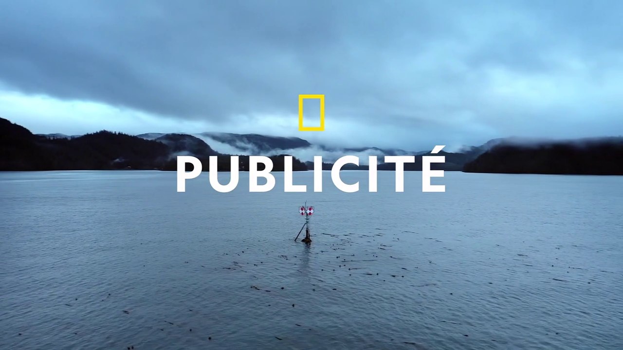 Deux pages de publicités avec un habillage actuel sur National Geographic le Lundi 28 Août 2023 de 20:55 à 21:00