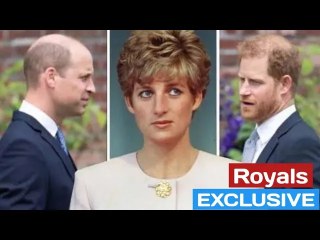 Prince Harry learned a hard lesson from Princess Diana about his position as Spare, which he has now
