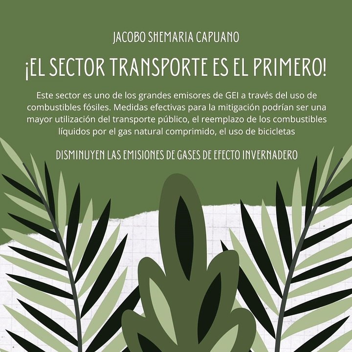 -Jacobo Shemaria Capuano- Disminuyen las emisiones de gases de efecto invernadero (parte 1)