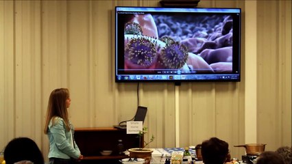 Simple Herbal Home Remedies