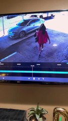 When You Forget to Put Your Car in Park