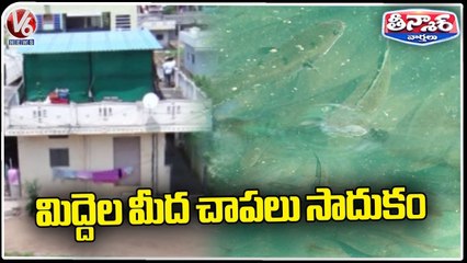 Fish Farming On Roof Of House At Nizamabad  _ V6 Weekend  Teenmaar