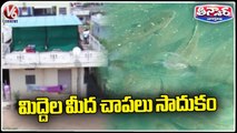 Fish Farming On Roof Of House At Nizamabad  _ V6 Weekend  Teenmaar