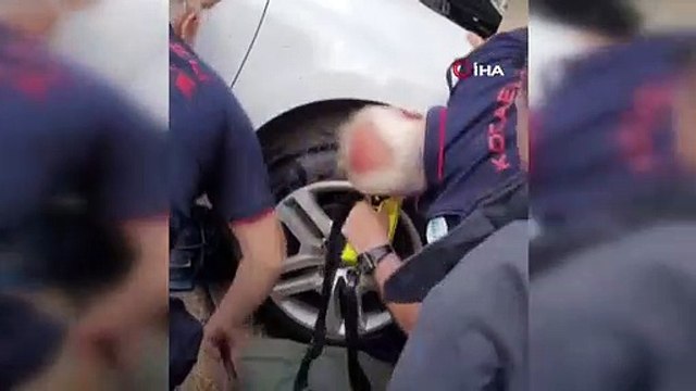 Gebze'de otomobilin motoruna giren yavru kedi itfaiye tarafından kurtarıldı