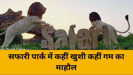 इटावा: सफारी पार्क में शेरनी ने दो शावकों को दिया जन्म, एक की हुई मौत