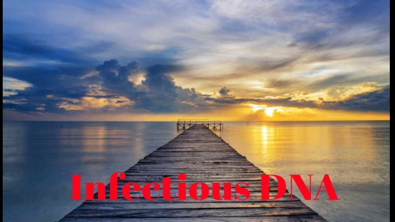 Infectious DNA