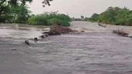 కడప జిల్లా: ఉధృతంగా ప్రవహిస్తున్న మడువంక వాగు... రాకపోకలు బంద్