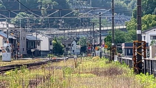 PXL_20230616_084419 1091列車・1091レ Train 1091, 1091 Les.