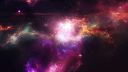 The Human Evolution Process | Parody | Guess The Voice | @Mr. Charith