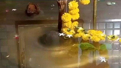 जोबट: बारिश की कामना के लिए किया जलाभिषेक, शिव मंदिर में एकत्रित हुए ग्रामीण