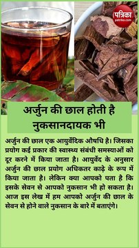 अर्जुन की छाल फायदेमंद के साथ होती है नुकसानदायक, सेवन करने से पहले जान लें ये जरूरी बातें