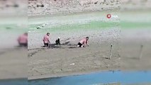 Le chien coincé dans le barrage d'Arnavutköy Sazlıbosna a été sauvé par les citoyens