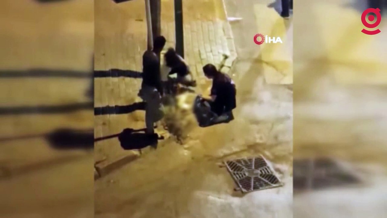 Otomobil çarpan kediye hemşireler dakikalarca kalp masajı yaptı