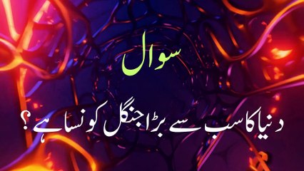 General Knowledge Part 4 l Information l Dilchasp Mahloumat l Urdu Maaza