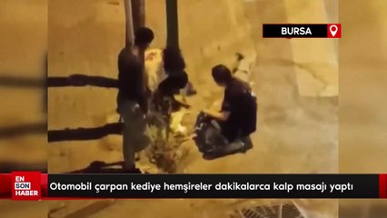 Otomobil çarpan kediye hemşireler dakikalarca kalp masajı yaptı