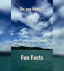 How the Brain Processes Visual Info 🧠