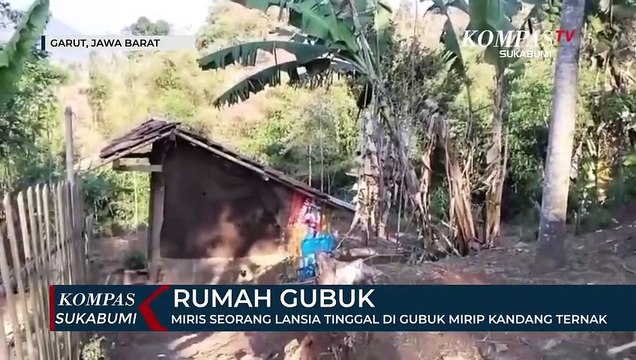 Miris Seorang Lansia Tinggal Di Gubuk Mirip Kandang Ternak