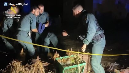 La Guardia Civil rescata a varias personas atrapadas por el temporal en El Álamo