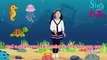 A Sailor Went To Sea with Lyrics and Actions _ Sing - Along _  Kids Nursery Rhyme by Sing with Bella