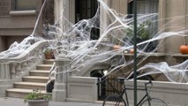 You Must Cancel Fake Spider Webs This Halloween!