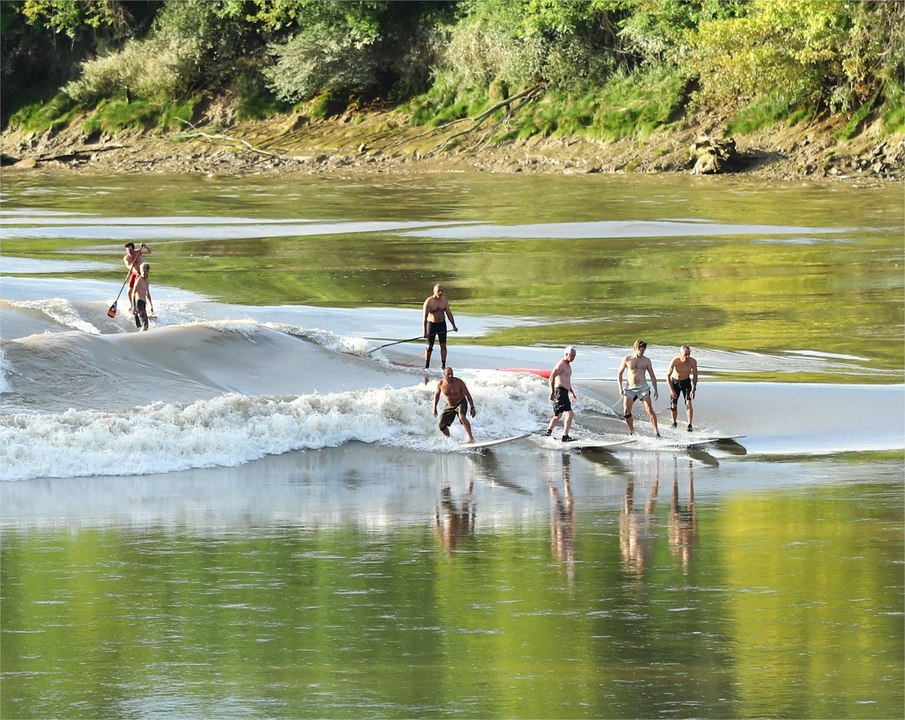 Gironde : sur la Garonne, le mascaret régale nos amis surfeurs