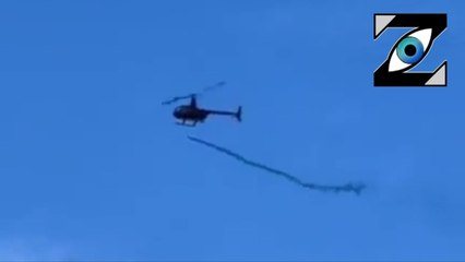 [Zap Net] Pourquoi des milliards de moustiques OGM ont été lâchés dans la nature ? (04/09/2023)