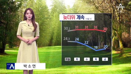 [날씨]내일도 늦더위 기승, 서울 31도…밤까지 곳곳 소나기