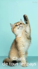 conspiration ‑ Made with FlexClip (1)