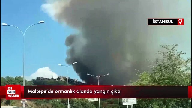 Maltepe'de ormanlık alanda yangın çıktı