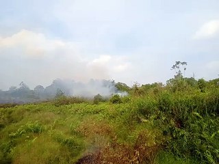 Kebakaran Lahan di Sungai Raya Berpotensi Ganggu Penerbangan