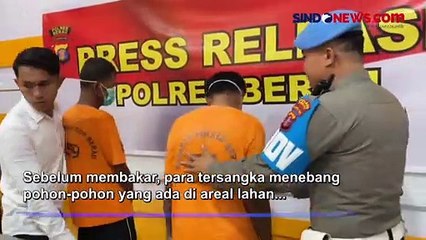 Bakar Lahan untuk Perkebunan Sawit, 2 Orang Ditangkap di Berau