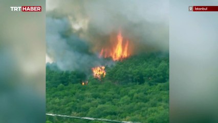 İstanbul'da ormanlık alanda yangın çıktı