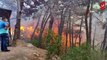 İstanbul'da orman yangını: Maltepe Başıbüyük Ormanı'nda çıkan yangına itfaiye ve helikopter müdahale ediyor