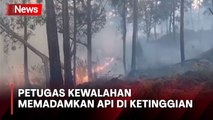 Kebakaran Hutan Gunung Arjuno Meluas, Api Sudah Merambat ke Taman Hutan Gunung Welirang