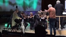 A Copenaghen cani abbaiano per eseguire sinfonia di Mozart padre