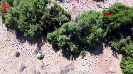 Çoban, keçiye saldıran çakalı dronla görüntüledi