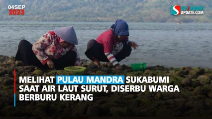 Melihat Pulau Mandra Sukabumi Saat Air Laut Surut, Diserbu Warga Berburu Kerang