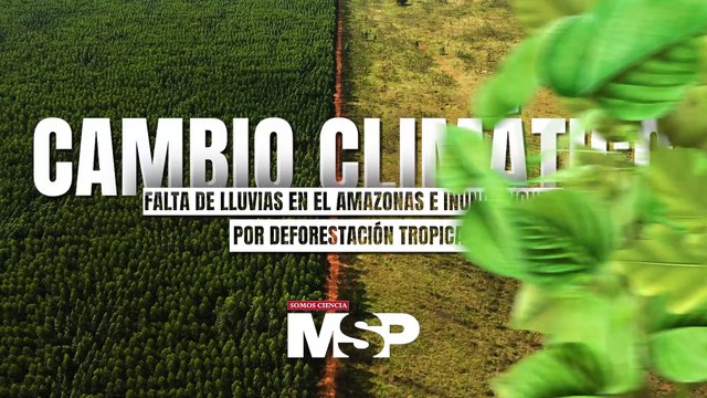 Cambio climático: Falta de lluvias en el Amazonas y deforestación tropical - #EspecialMSP