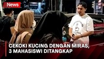 3 Mahasiswi Ditangkap usai Nekat Cekoki Kucing dengan Miras di Padang